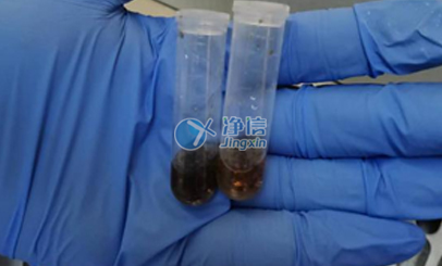 上海凈信高通量研磨儀能否助力蟲媒病毒研究實(shí)驗?