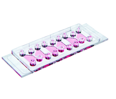 μ-Slide 細胞趨化載玻片-80326 80322 80328