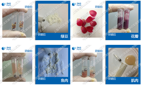 1743584619213726.png 754067345759.png