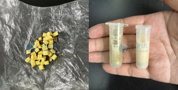 4-16- 實驗案例底圖.jpg