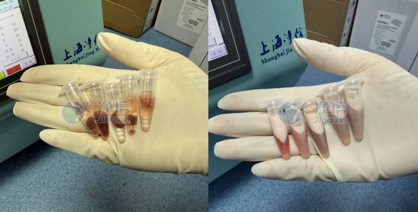 5-21-管2 實(shí)驗(yàn)案例底圖.jpg