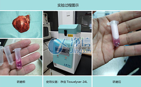 腫瘤組織研磨采用多樣品組織研磨機(jī)進(jìn)行其實(shí)驗(yàn)效果如何？