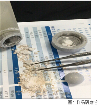 冷凍研磨儀研究告訴你-海虹體內的營養(yǎng)價值及藥用價值有那些？