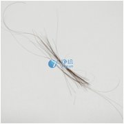 上海凈信研磨頭發(fā)樣品新突破!快速鑒定疑犯是否吸毒