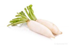 蘿卜提取DNA采用全自動樣品快速研磨儀能得到什么結果？